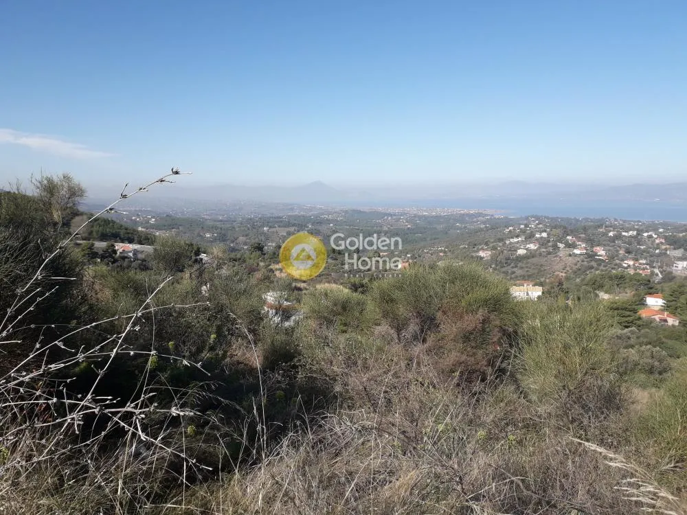 Jardin - Agricultural Plot with Sea View in Markopoulo, Attica