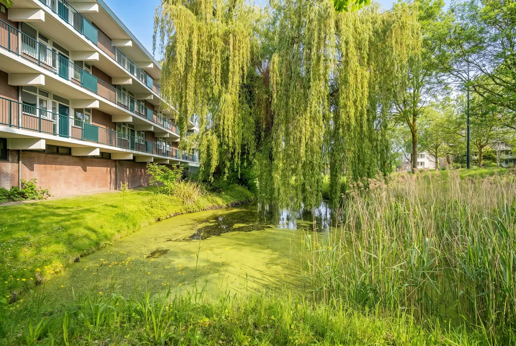 4-toaline korter asukohas Leiden
