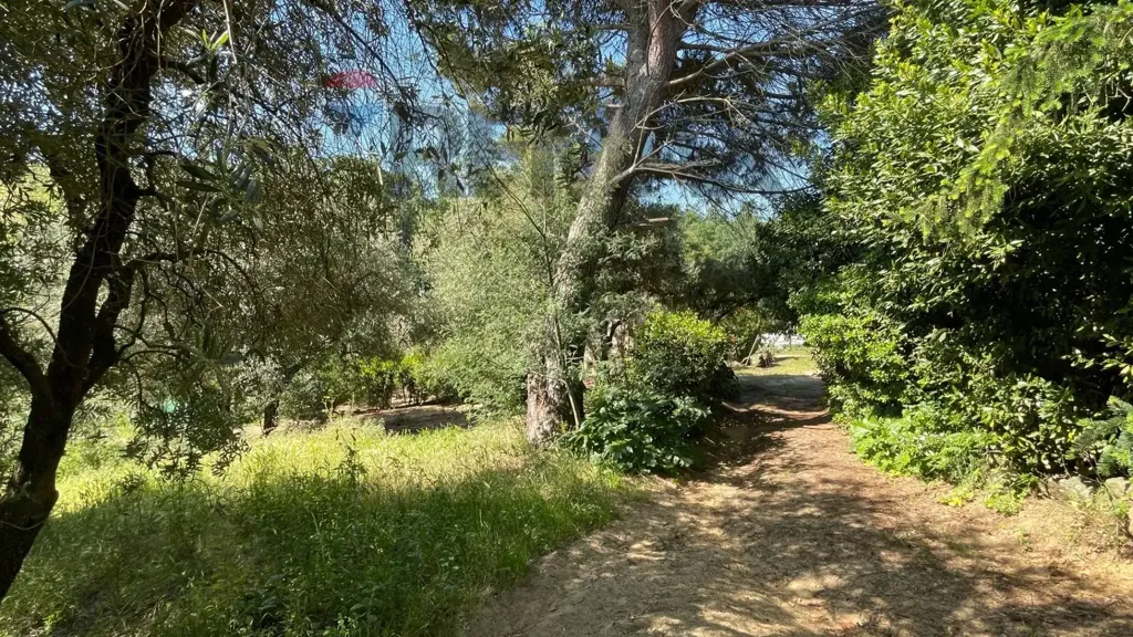 Jardin - Tuscan Hamlet with Olive Groves in Vinci