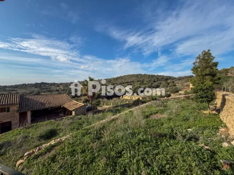 Jardin - Historic Mallorcan Estate with Panoramic Views, Manacor