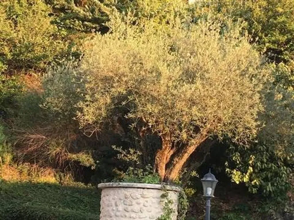 Aed - Luxury Villa with Pool in Lecce nei Marsi