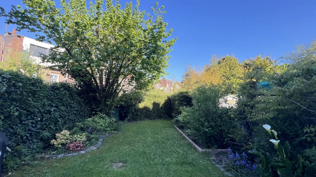 garden