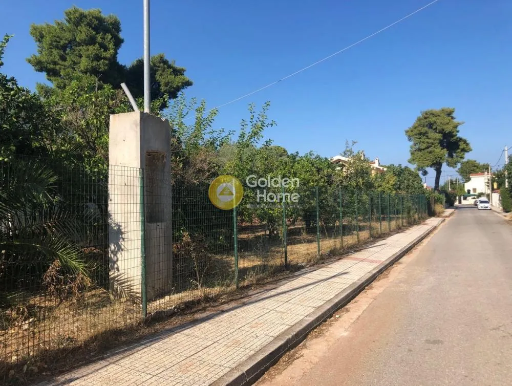 Garden - Plot with Sea View in Nea Makri Centre