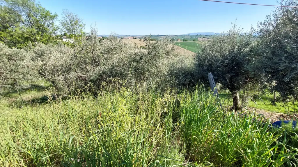 Aed - Trilocale with Balcony in Belvedere Ostrense