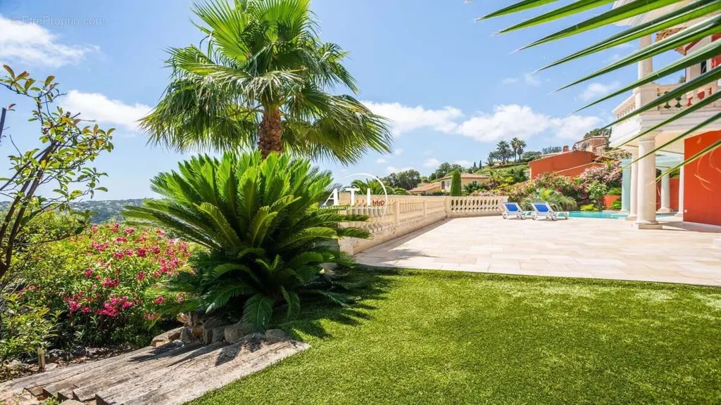 garden