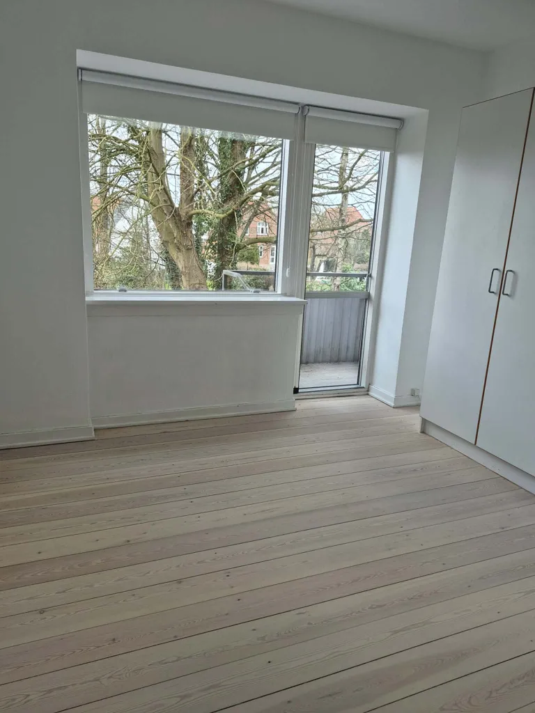 Magamistoad - Bright 2-Bedroom Flat with Balconies in Odense