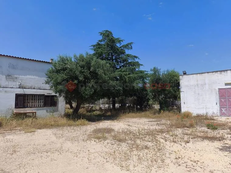 Extérieur - Villa with Olive Grove in Grottaglie