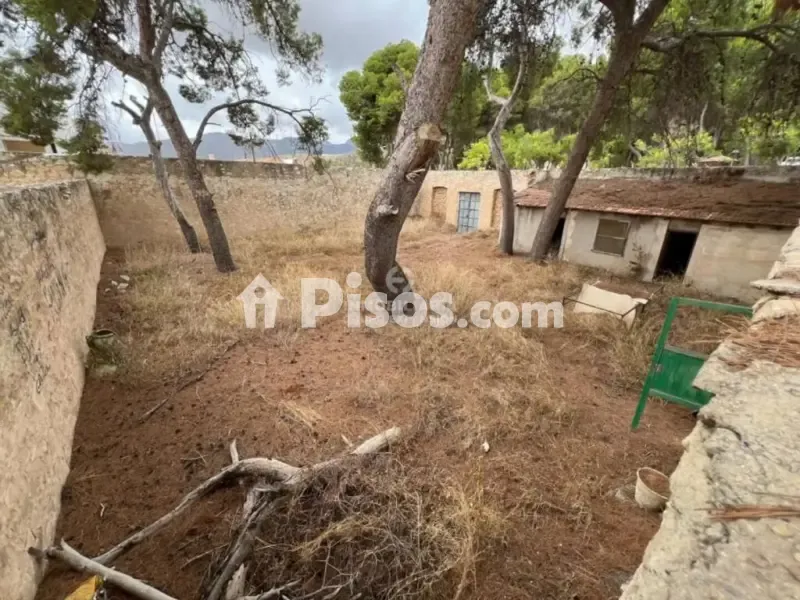 Aed - Señorial Chalet with Large Plot in La Romana