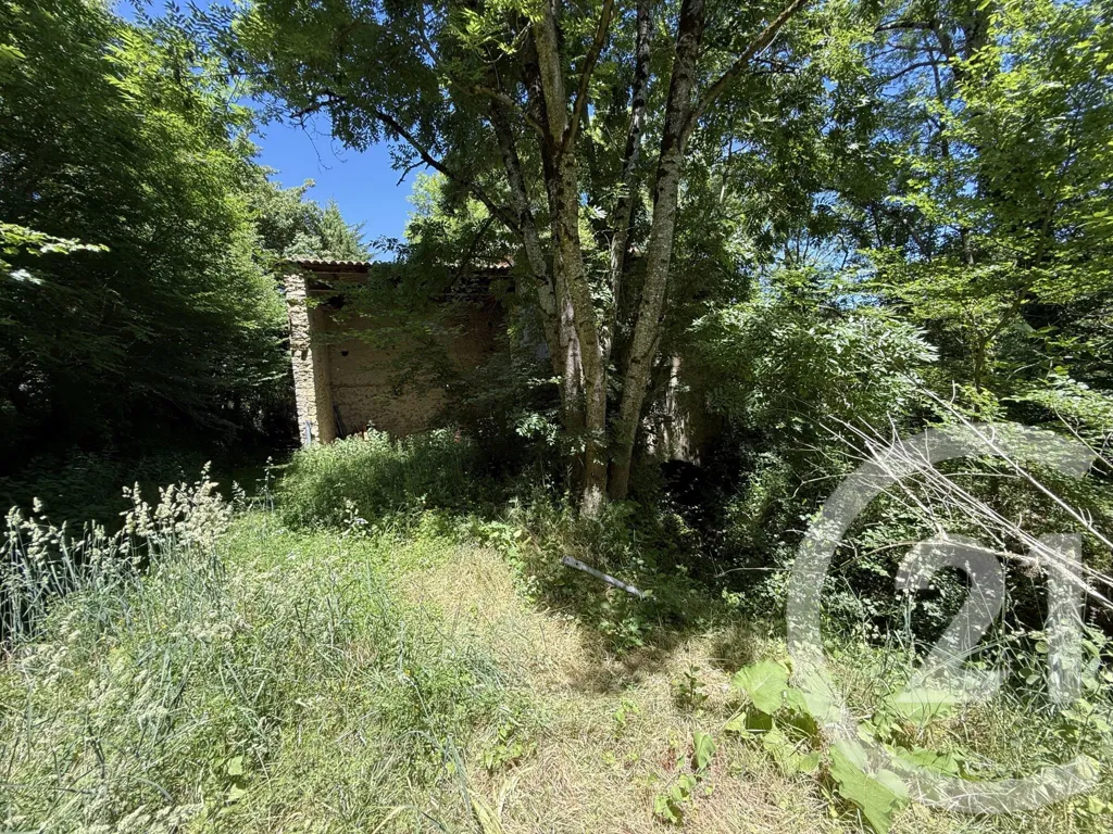 Giardino - Old Mill with River View in Limbrassac