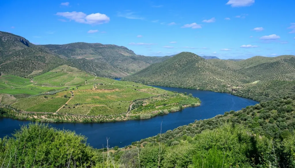 Vineyard with Riverfront in Douro Superior
