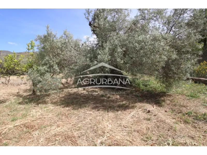 Aed - Rustic Farmhouse with Fruit Trees in Órgiva
