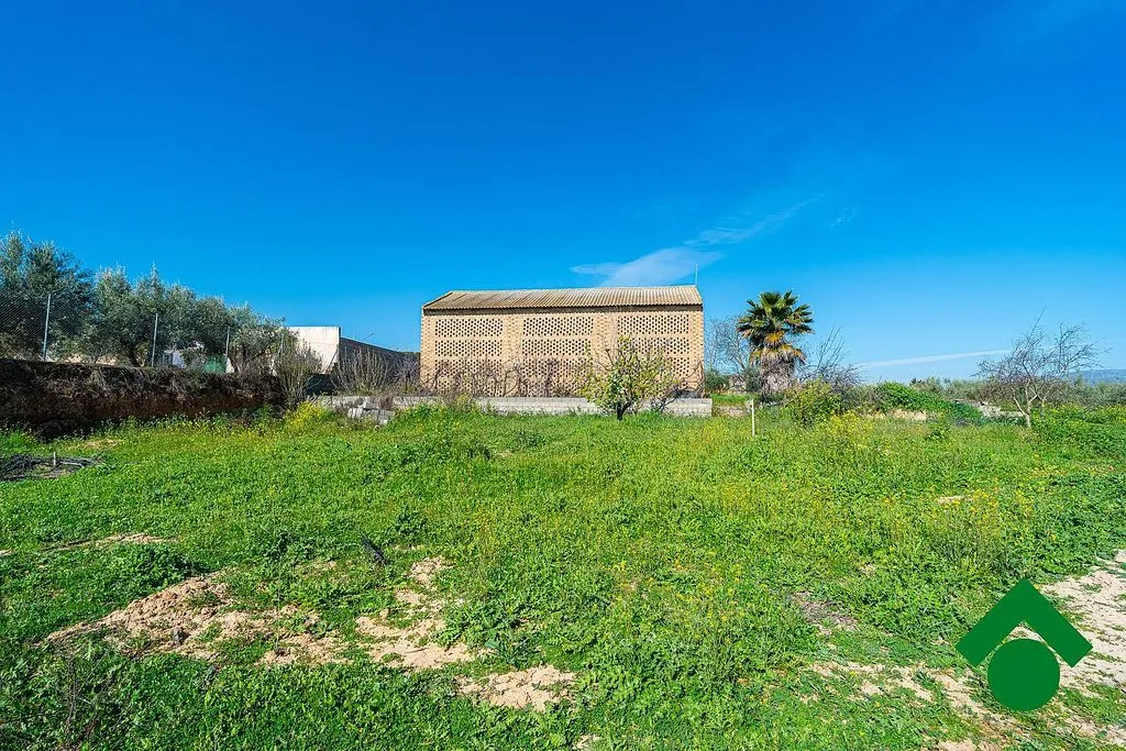 Giardino - Rustic Farmhouse with Terrace in Chauchina