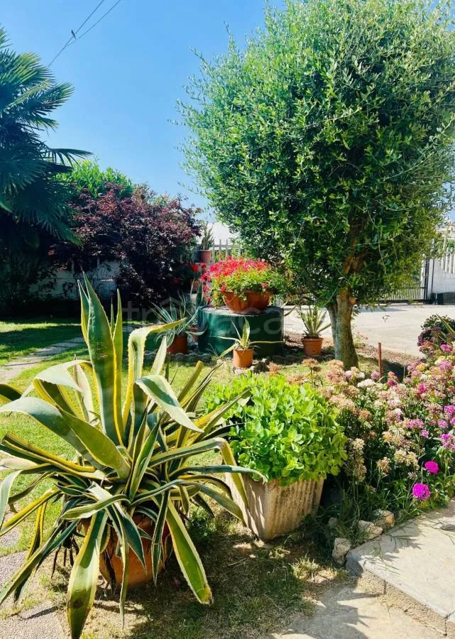 Jardin - Villa with Private Garden in Costigliole Saluzzo