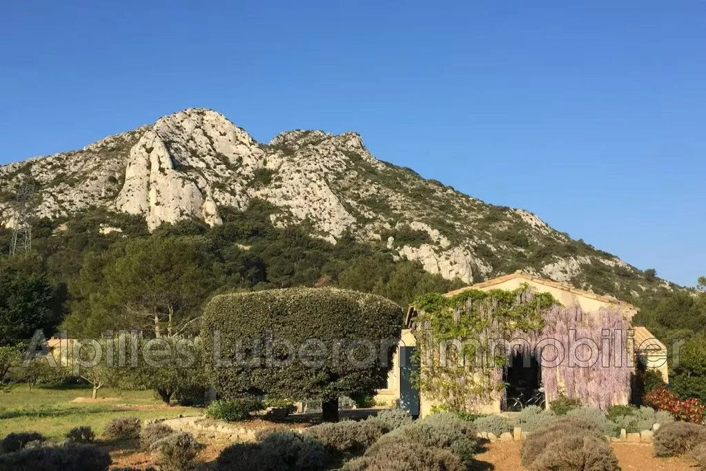 Extérieur - Villa Luxe avec Piscine à Eygalières