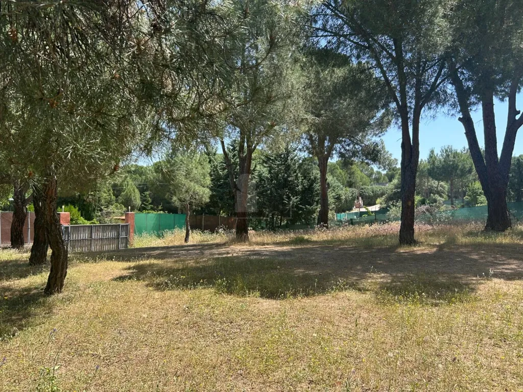Jardin - Chalet with Pool in Navas del Rey