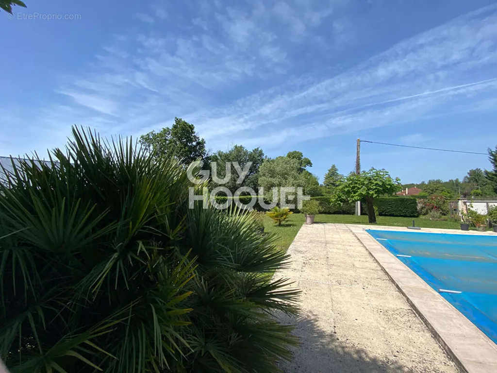 Pool - Spacious House with Pool near Libourne