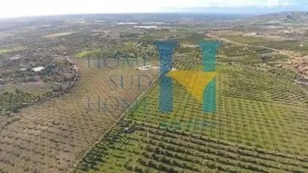Aerial - Villa with Olive Grove in Noto