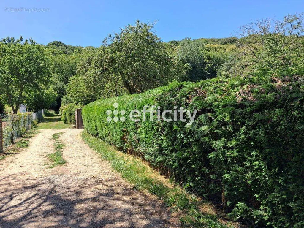 Aed - Constructible Plot in Tourneville