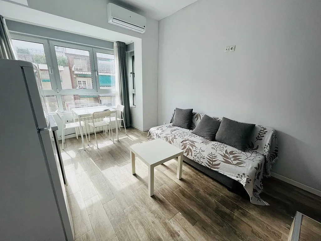 Furnished Flat with Air Conditioning in Chamberí