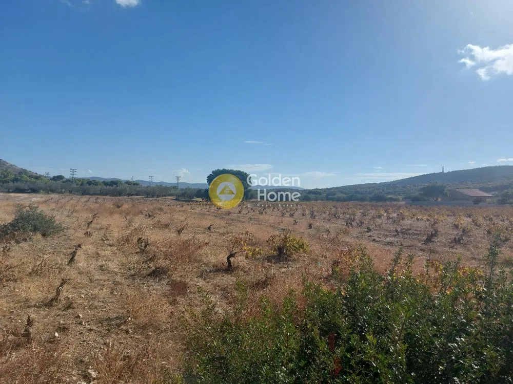 Garden - Flatland Plot with Forest View in Thoricó