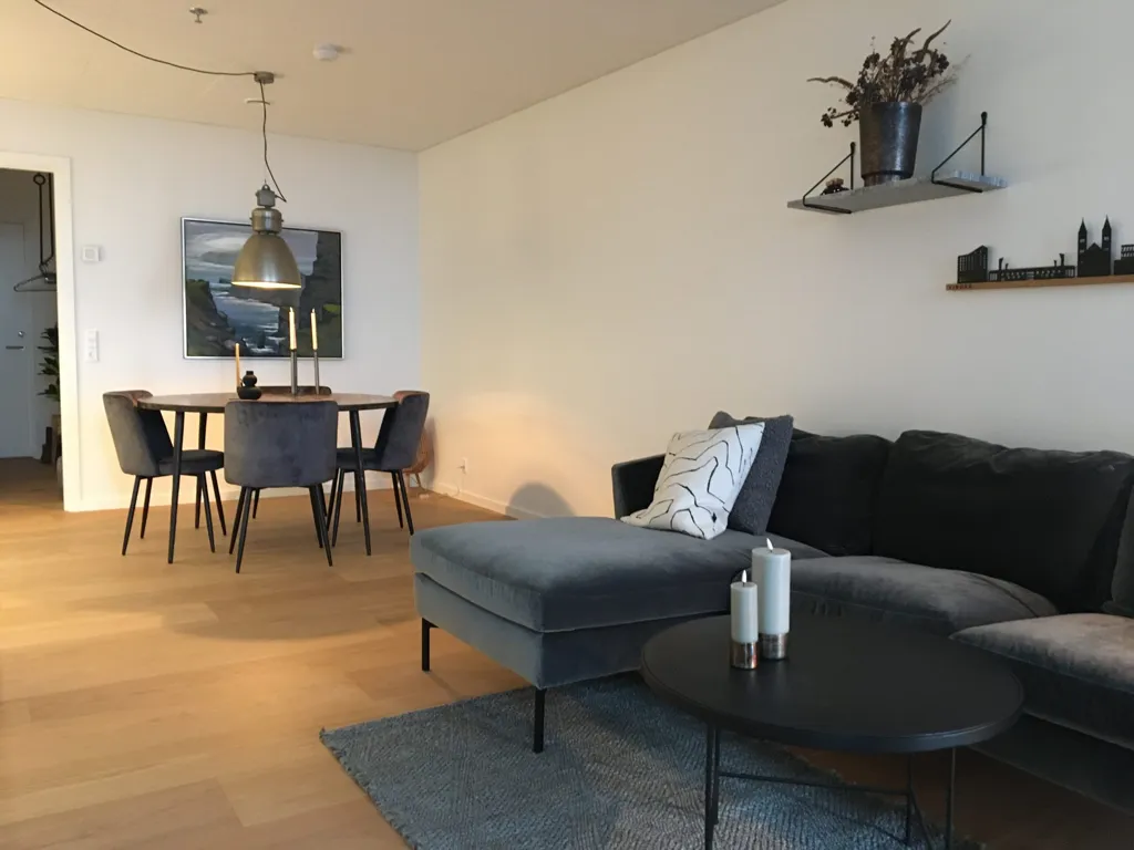 Séjour - Luxury Penthouse with Balcony in Viborg