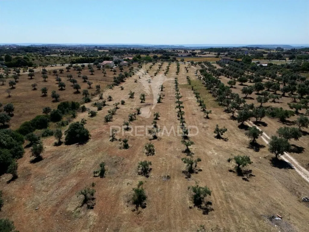 Vue aérienne - Rural Quinta with Olive Grove in Vaqueiros