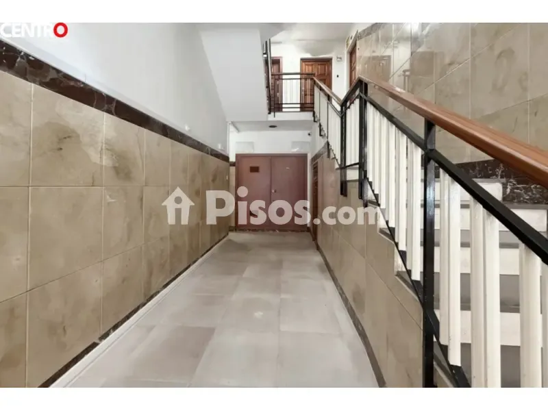 Toad - Spacious Apartment with Balcony in Santa Clotilde