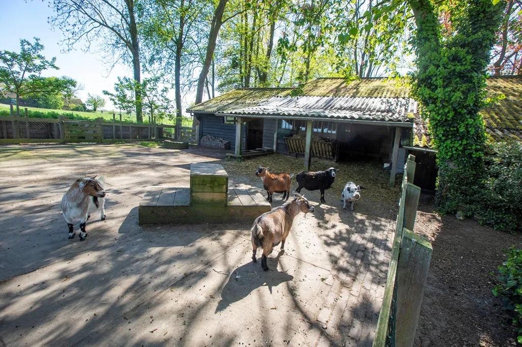 Välivaade - Charming Landhouse with Parkland in Linschoten