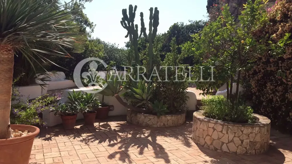 Terrasse - Luxury Villa with Sea View in San Felice Circeo