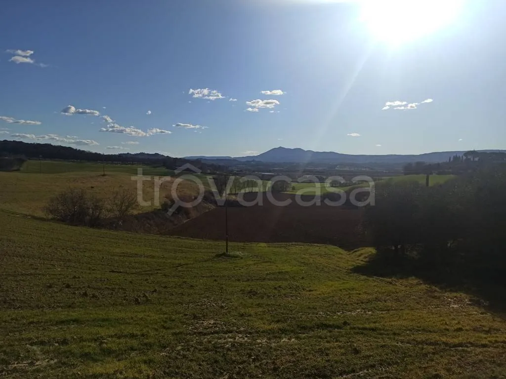 Giardino - Rustic Casale with Panoramic Views near Castiglione del Lago