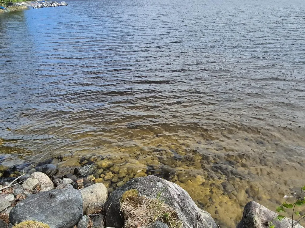 Jardin - Electrically Heated Cottage with Lake View in Sulkava
