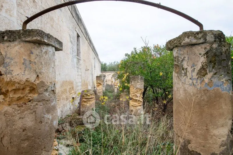 Jardin - Masseria with Olive Grove in Barletta