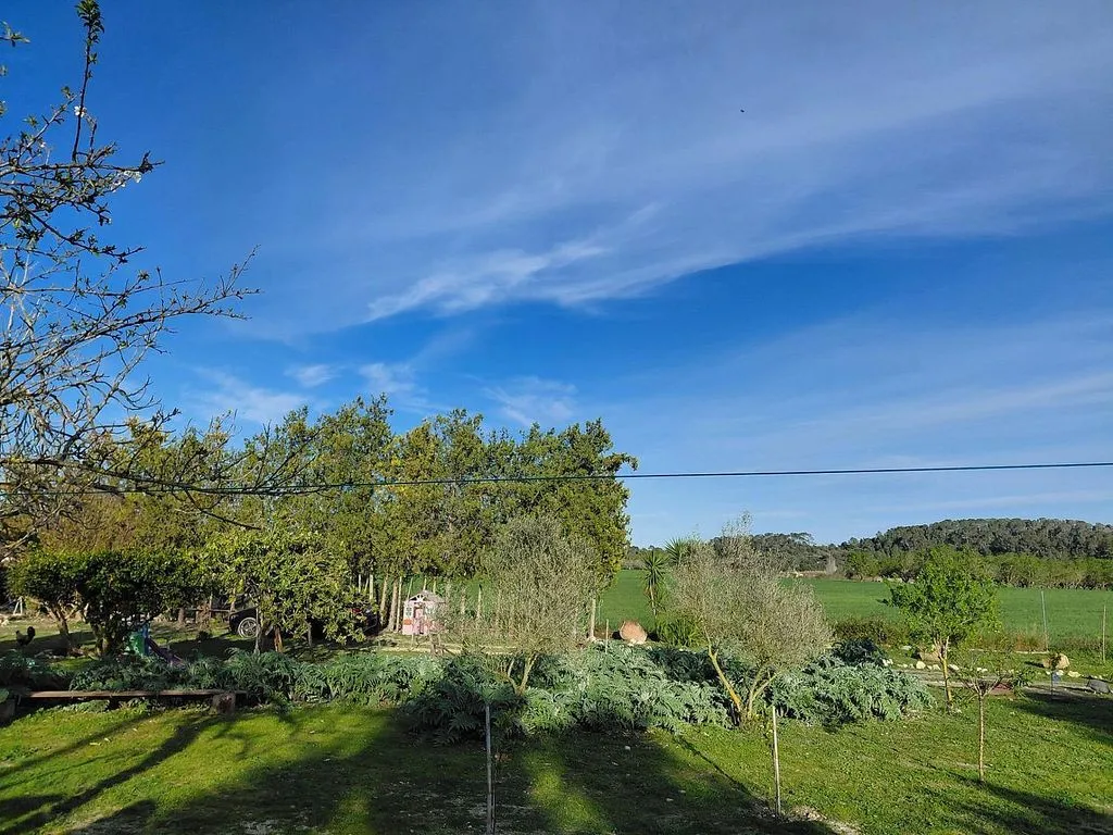 Jardin - Rustic House with Pool and Terrace in Sant Joan