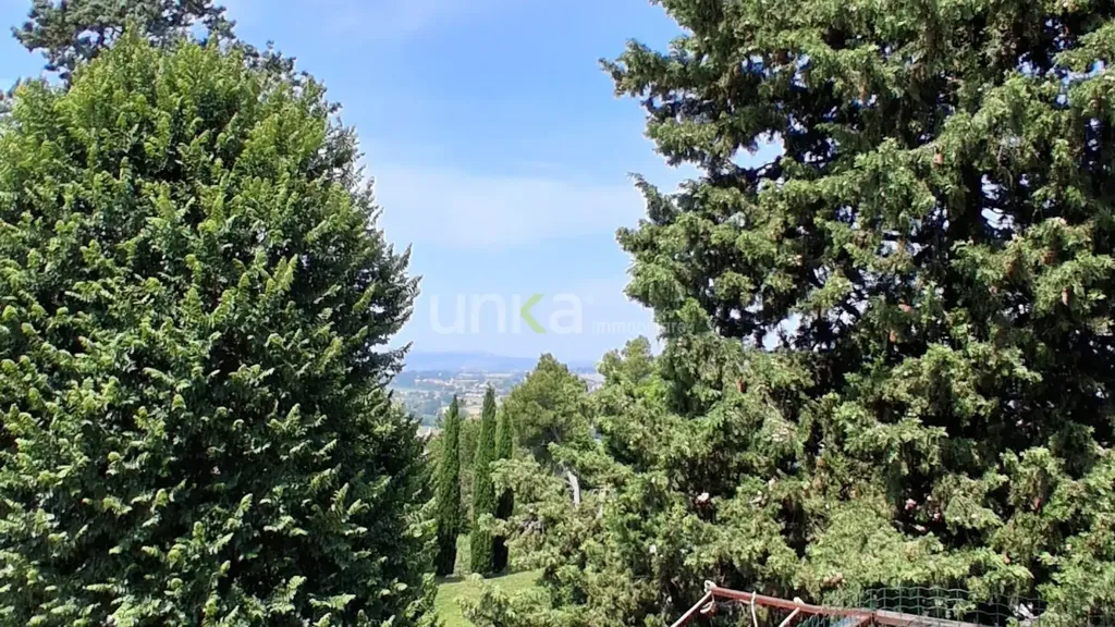 Jardin - Apartment with Panoramic Balcony in Jesi