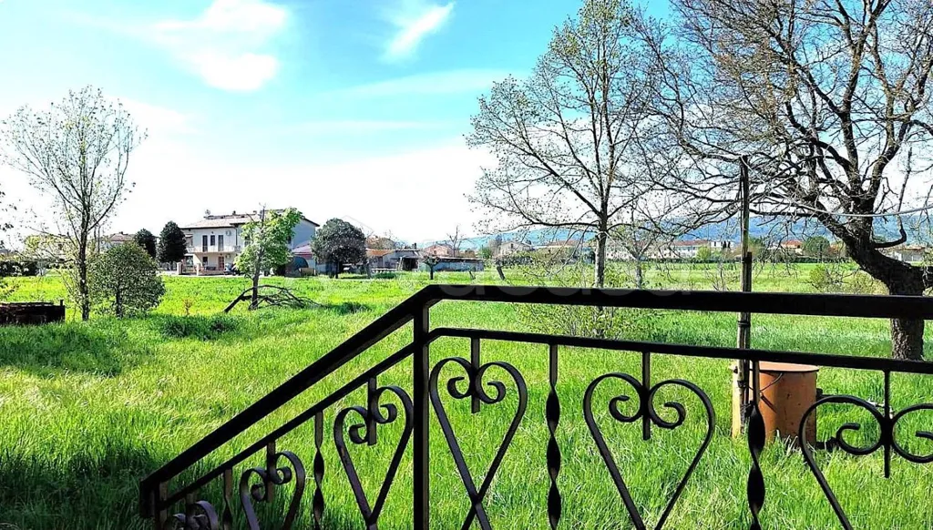 Garden - Rustic House with Garden in Cannara