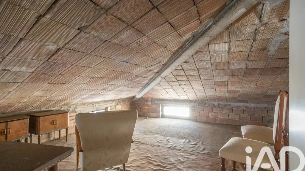 Toad - Independent Ground Floor Flat in Castelplanio