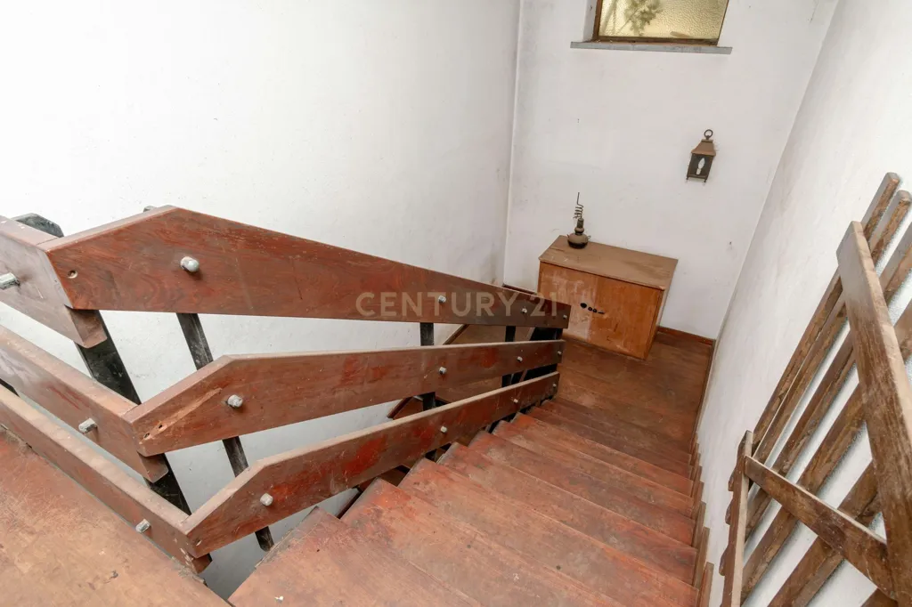 Toad - T6+1 House with Garden in Alfragide Norte