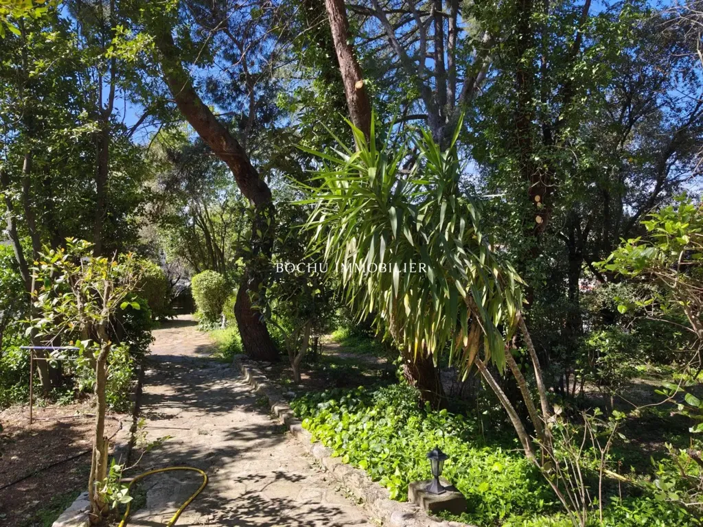 garden