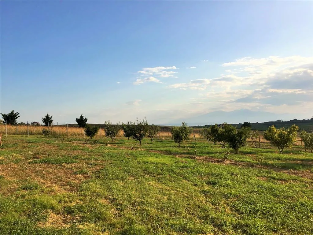 Jardin - Detached House with Panoramic Views in Thessaloniki Suburbs