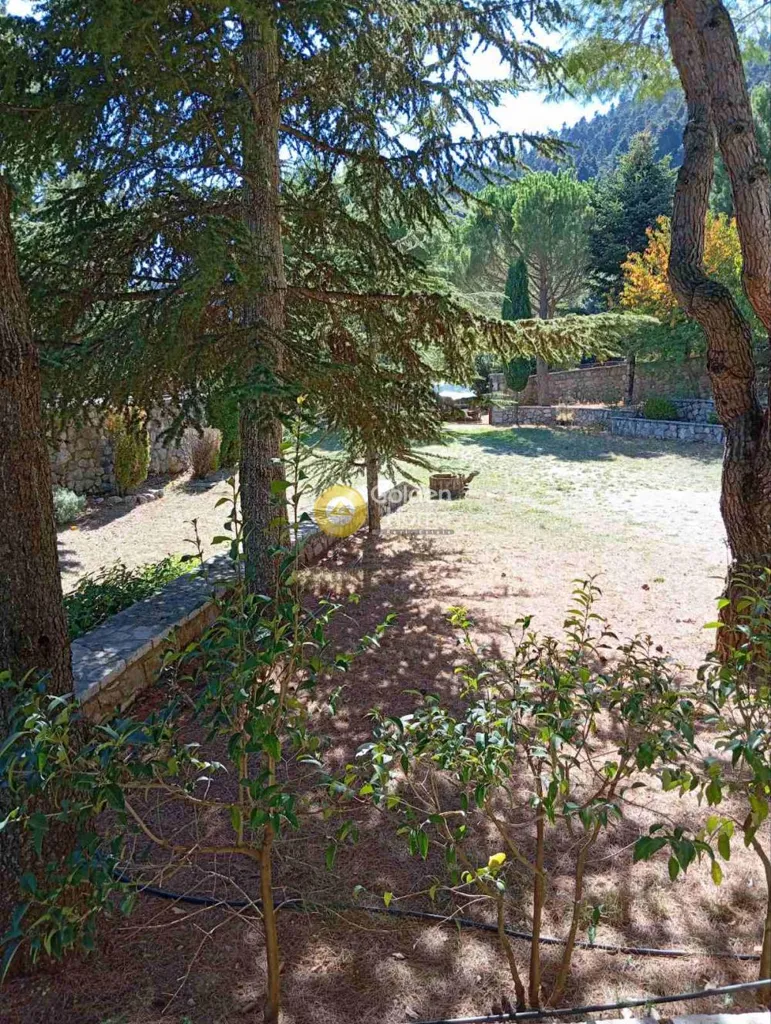 Garden - Villa with Mountain View in Amfissa