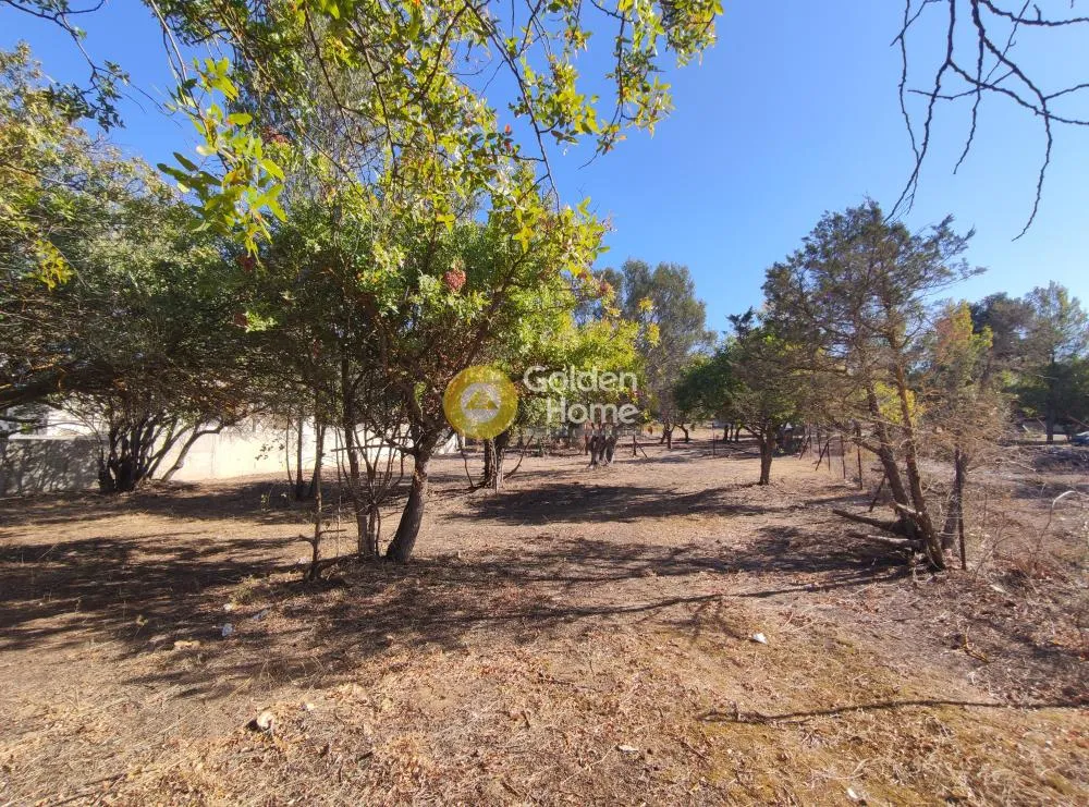 Aed - Plot with Sea View in Anavyssos Centre