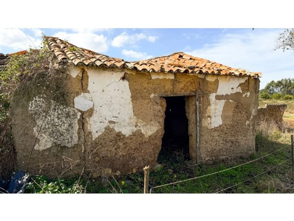 Extérieur - Mixed-use Farm with Sea View in Odeceixe