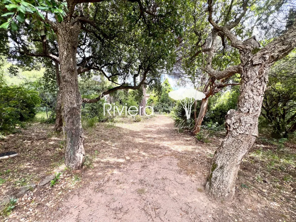 Jardin - Villa à Rénover avec Terrasse à Gassin