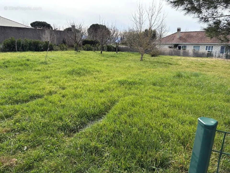 Terrain à Castres