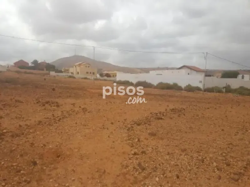 Aed - Rustic Farm Plot in Los Estancos, Fuerteventura
