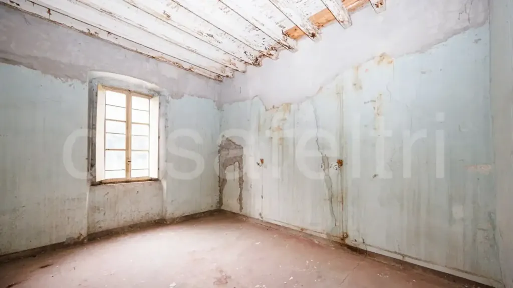 Toad - Historic Villa for Renovation in Stezzano
