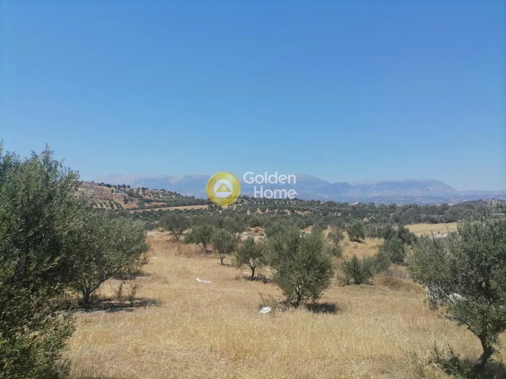 Garden - Buildable Plot with Olive Trees in Phaistos