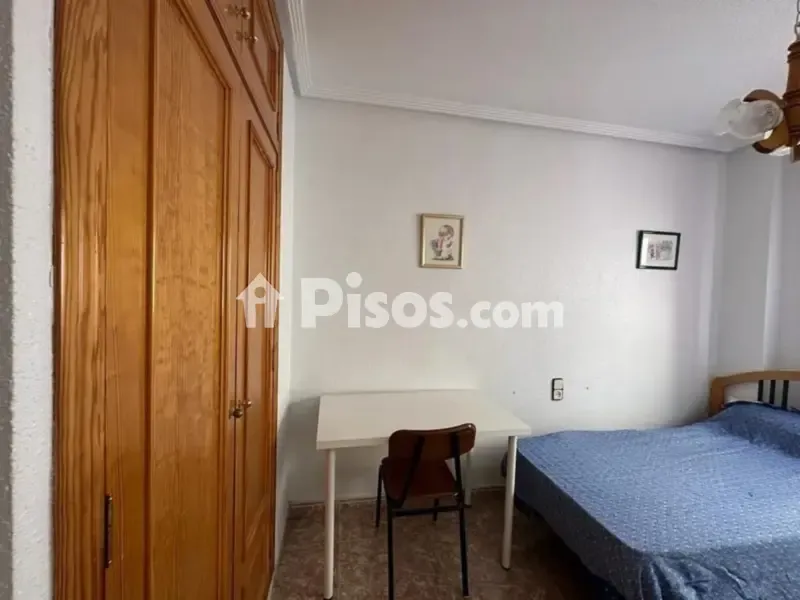 Magamistoad - Modern Flat with Garden in El Carmen