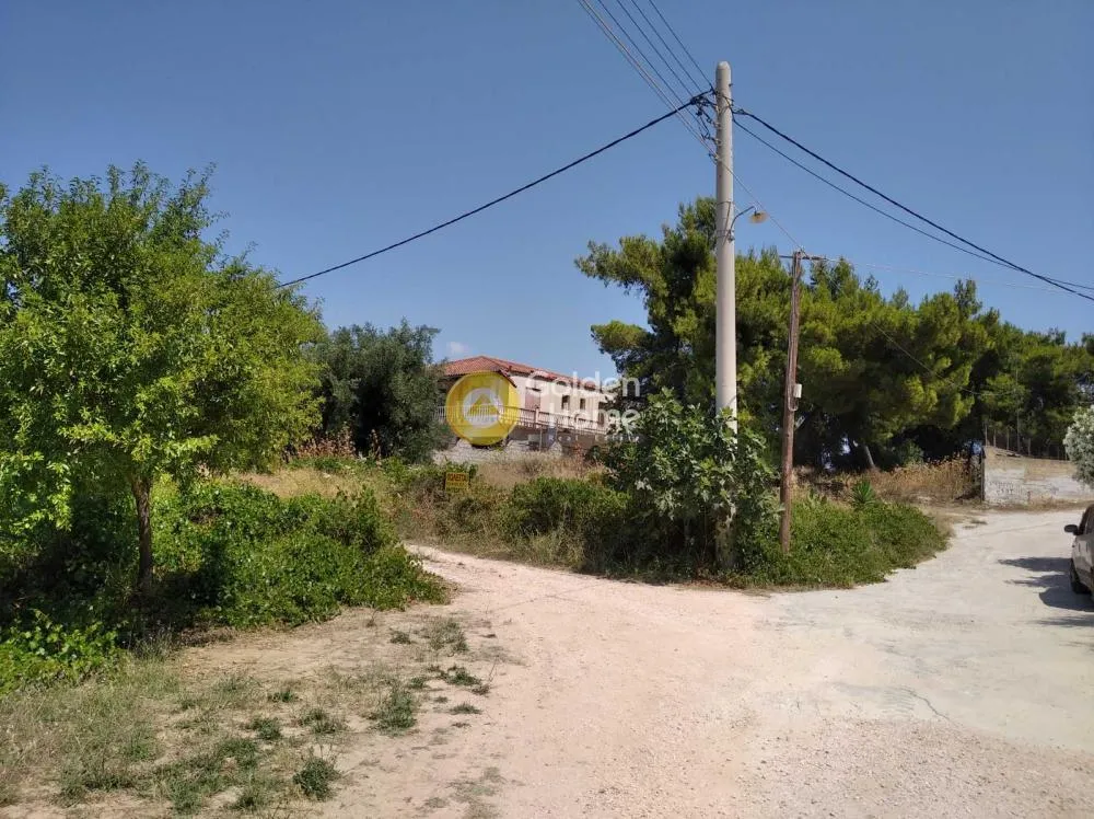 Aed - Agricultural Plot with Sea View in Agios Seraphim
