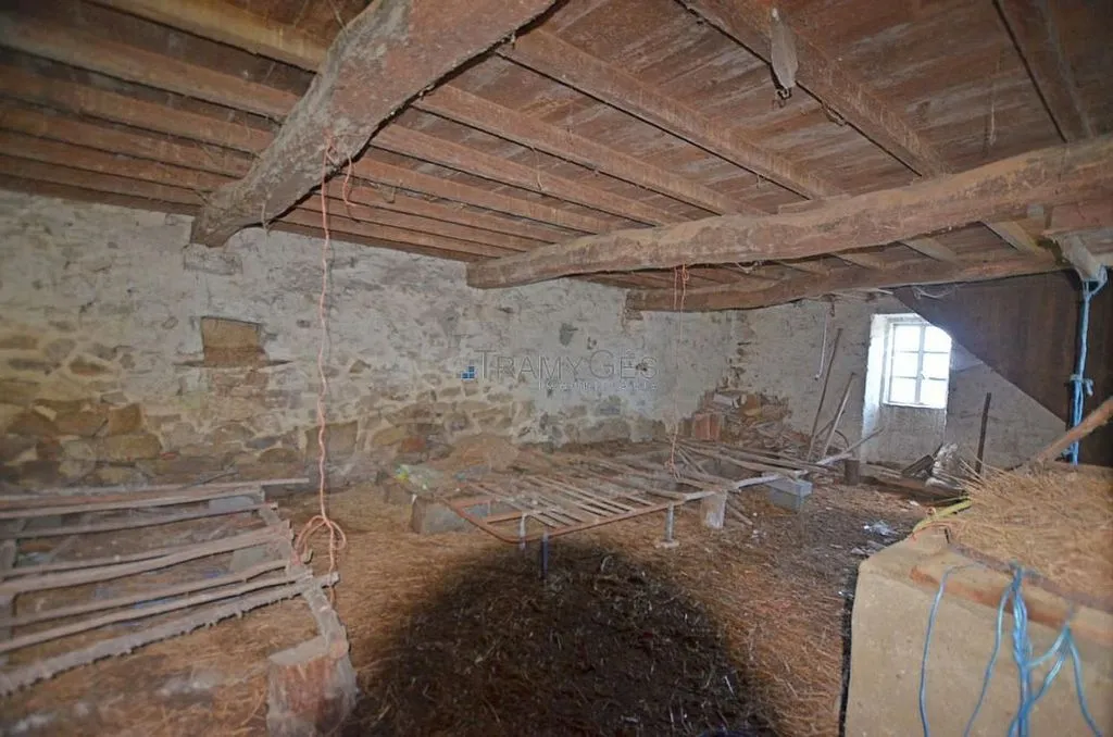 Toad - Stone Cottage for Renovation in Gondomar